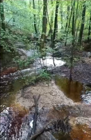 Abenteuer Wasserwelt